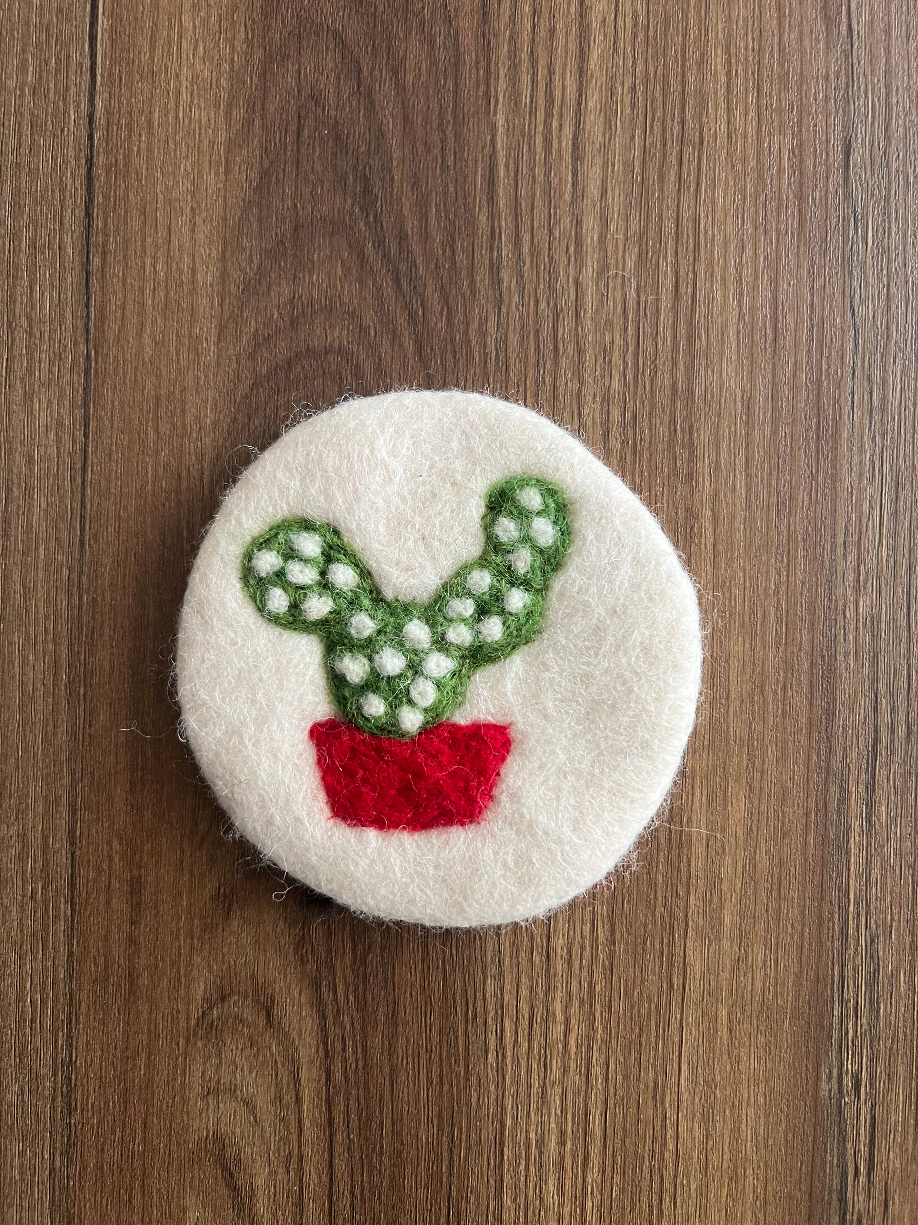 Handmade Felt Plant Coasters