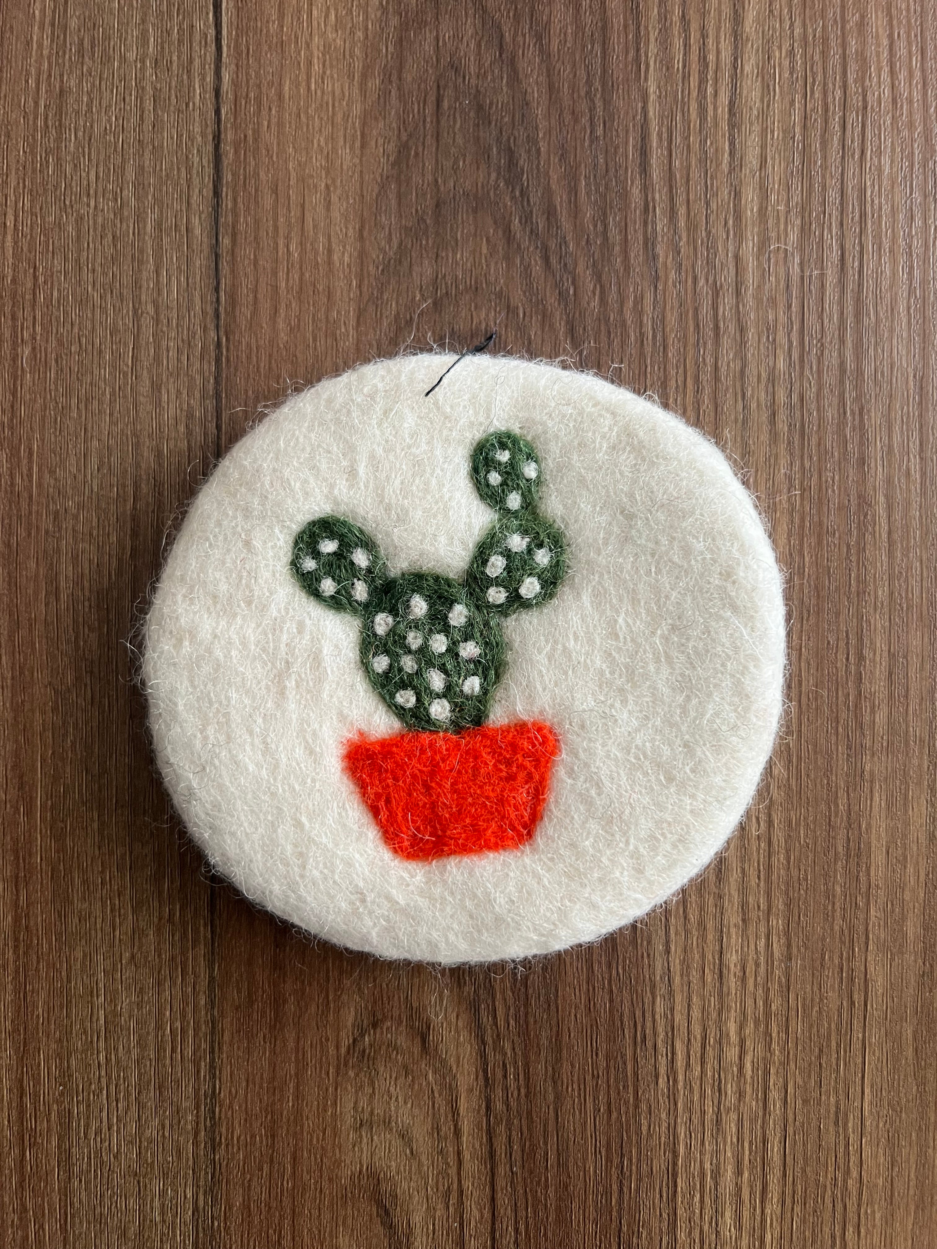 Handmade Felt Plant Coasters